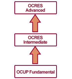 OMG Certified Real-time and Embedded Specialist